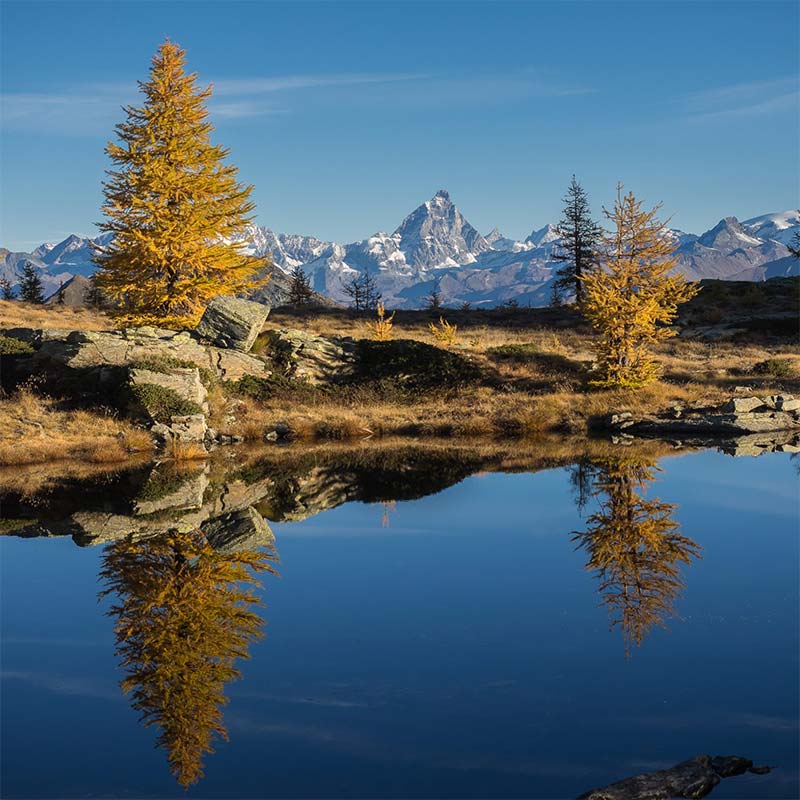 Progetto LIVEALPSNATURE